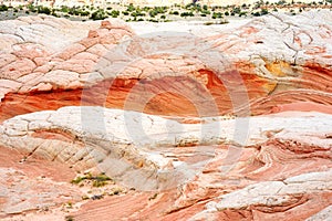 Mindblowing shapes and colors of moonlike sandstone formations in White Pocket, Arizona, USA