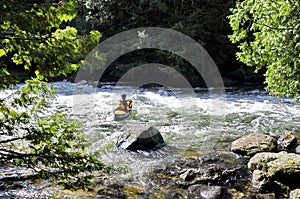 Unknown canoeist, whitewater canoeing at the Minden Wild Water Preserve.