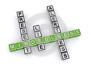 Mindfulness present life alertness on white