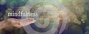 Mindfulness Word Cloud Grunge Banner photo