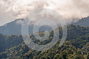 Mindo Cloud Forest, Ecuador