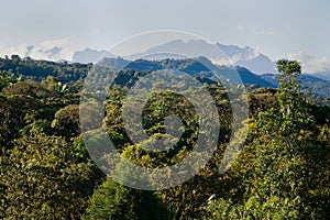 Mindo, Ecuador cloud forest