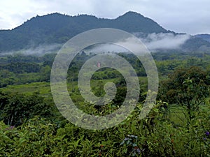 Mindo Valley Ecuador  844449