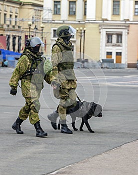 Mine clearance specialists with Labrador dog move around the city