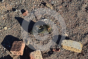 Mine `La Casualidad`, Salta, Argentina photo