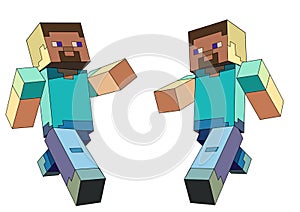 Minecraft character