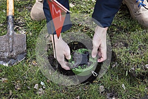 Miner digs a mine. Demining of the territory. the guys digs a mine on a minefield. service in army. hazardous work