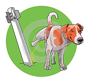 miner dog neutralizes an unexploded ordnance