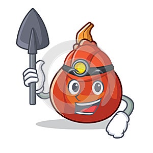 Miner red kuri squash mascot cartoon