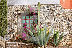 Mineral de pozos near san luis de la paz, guanajuato VI