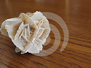 Mineral desert rose on wooden table . Also known as sand rose or rose rock or selenite rose or gypsum rose or baryte rose