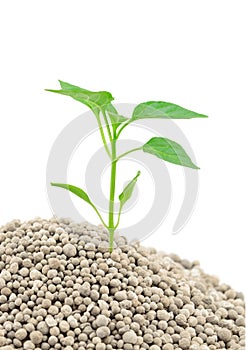 Mineral fertilizers granules on white