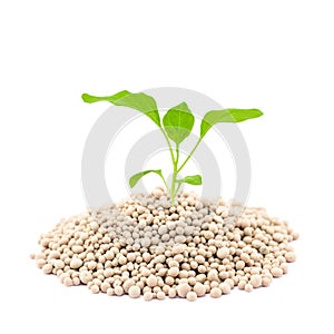Mineral fertilizers isolated on white