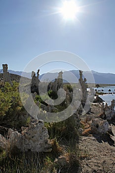 Mineral formations at Mono Lake, California