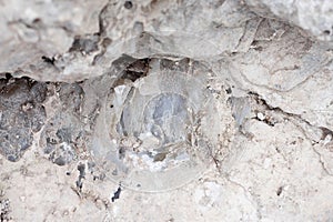 Mineral inside of stone. Unpolished quartz excavating or deposit. Semi-precious