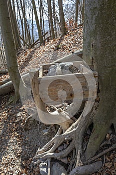 A mineral lick in the forest. Salt blocks ready for the wild animals