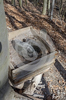 A mineral lick in the forest. Salt blocks ready for the wild animals