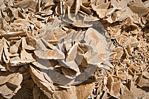 Mineral stone of the desert (sand rose)