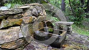 Mineral Water Spring in Forest