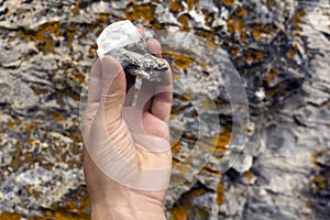 Mineralogical sample of limestone with mica photo
