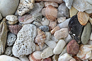 Minerals and shells