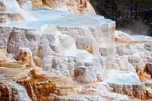 Minerva Terrace at Mammoth Hot Springs, in Yellowstone National Park photo