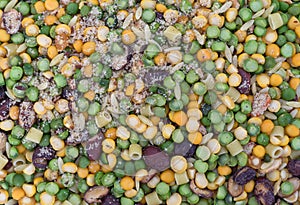 Minestrone soup mix close view