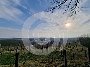 Minfulness in nature Vineyard zen