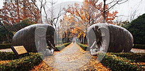 Ming Xiaoling Mausoleum of Nanjing