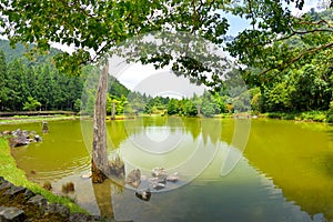 Mingchi Forest Recreation Area