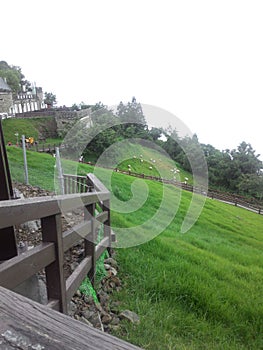 Mingjing Farm in Taiwan