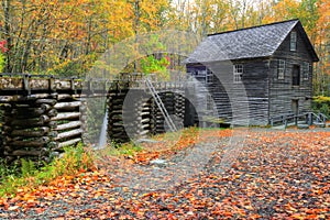 Mingus Mill