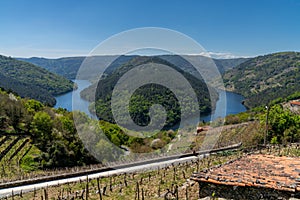 The Minho River in Galicia with typical terraced vineyards