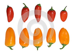Mini bell peppers isolated
