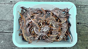 Mini beltfish or ikan layur, fried by salting process.
