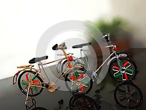 Mini bike bought in delhi India