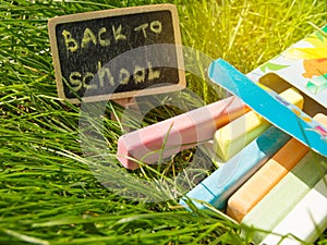 Mini blackboard written Back to school and colorful chalk on a green grass background