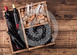 Mini bottles of red wine and empty glasses with dark grapes with corks and opener inside vintage wooden box on grunge wooden