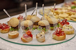 Mini Burgers And Canapes .