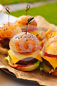 Mini burgers for a children's party or picnic.