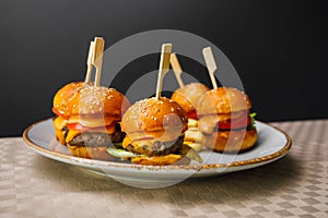 Mini burgers and fried potatoes on the plate photo