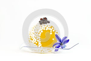 Mini canap with elements of molecular kitchen