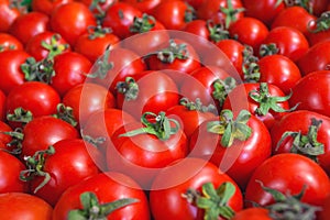 Mini cherry tomatoes. Vegetable background from juicy and ripe tomatoes