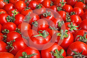 Mini cherry tomatoes. Vegetable background from juicy and ripe tomatoes