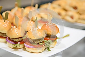 Mini chicken burger are placed on a plate