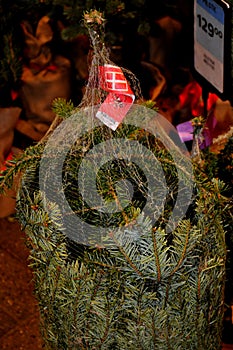 Mini christmas tree for sale in Copenhagen Denmark