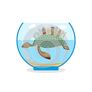 Mini city on shell of turtle. Micro ecosystem in an aquarium. Sk