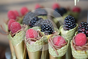 Mini cones with berries