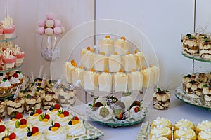 Mini dessert and sweets. Appetizers catering food