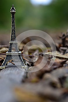 The mini Eiffel tower covered with leaves